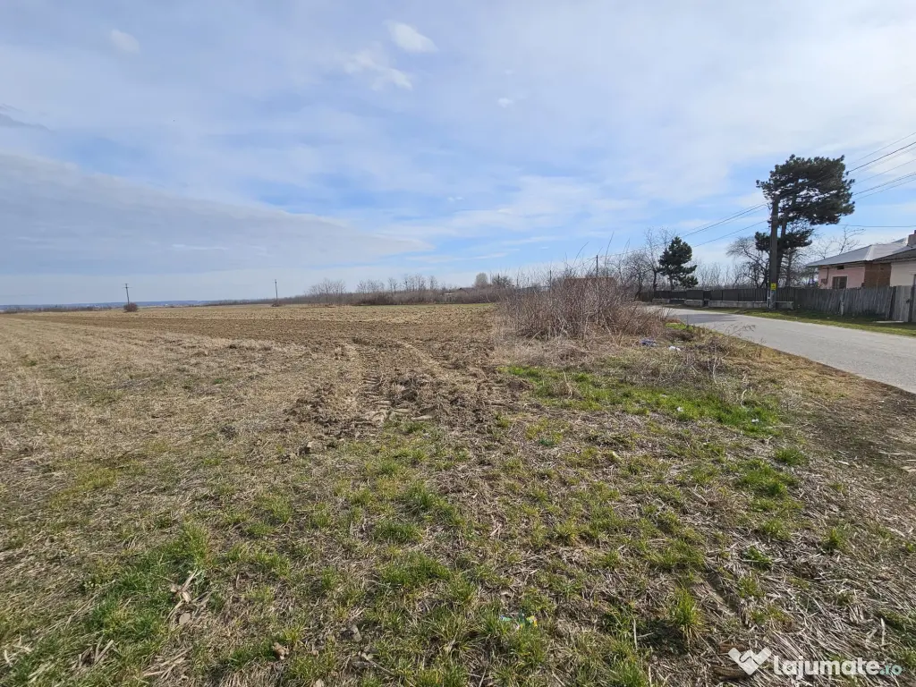 Teren intravilan 2268mp