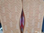 Adidas copii VL COURT 3.0 marimea 25.5 