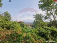 Teren intravilan 756mp si cota parte de drum Baia Mare / ... 