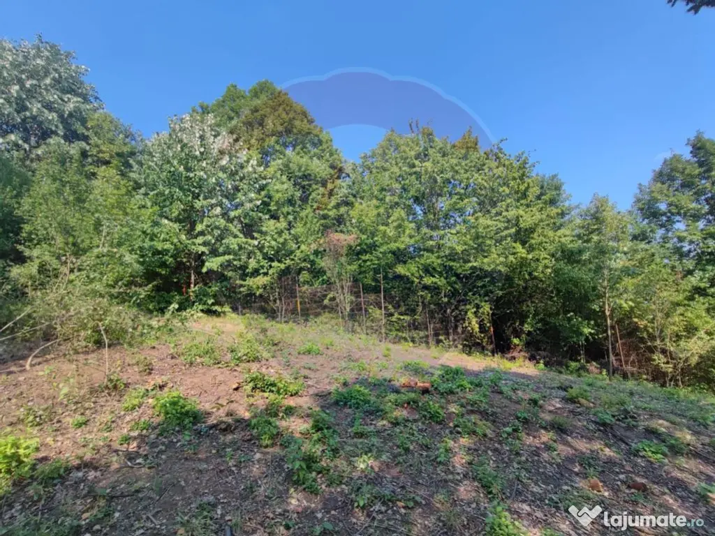 Teren intravilan 756mp si cota parte de drum Baia Mare / ...