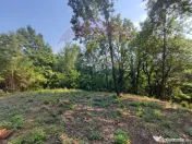 Teren intravilan 756mp si cota parte de drum Baia Mare / ... 