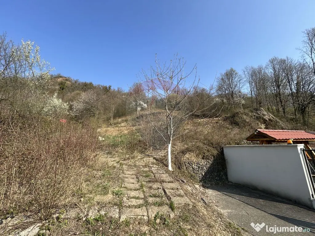 Teren intravilan 756mp si cota parte de drum Baia Mare / ...