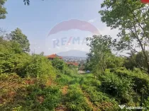 Teren intravilan 756mp si cota parte de drum Baia Mare / ...