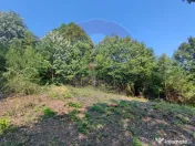 Teren intravilan 756mp si cota parte de drum Baia Mare / ... 