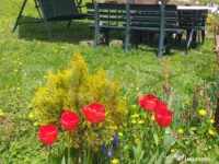 Cabana in zona Gherla, teren 1617 mp, zona linistita – rel 