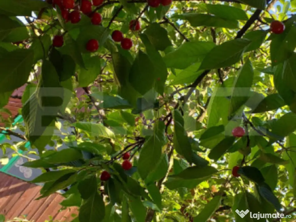 Cabana in zona Gherla, teren 1617 mp, zona linistita – rel