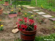 Cabana in zona Gherla, teren 1617 mp, zona linistita – rel 