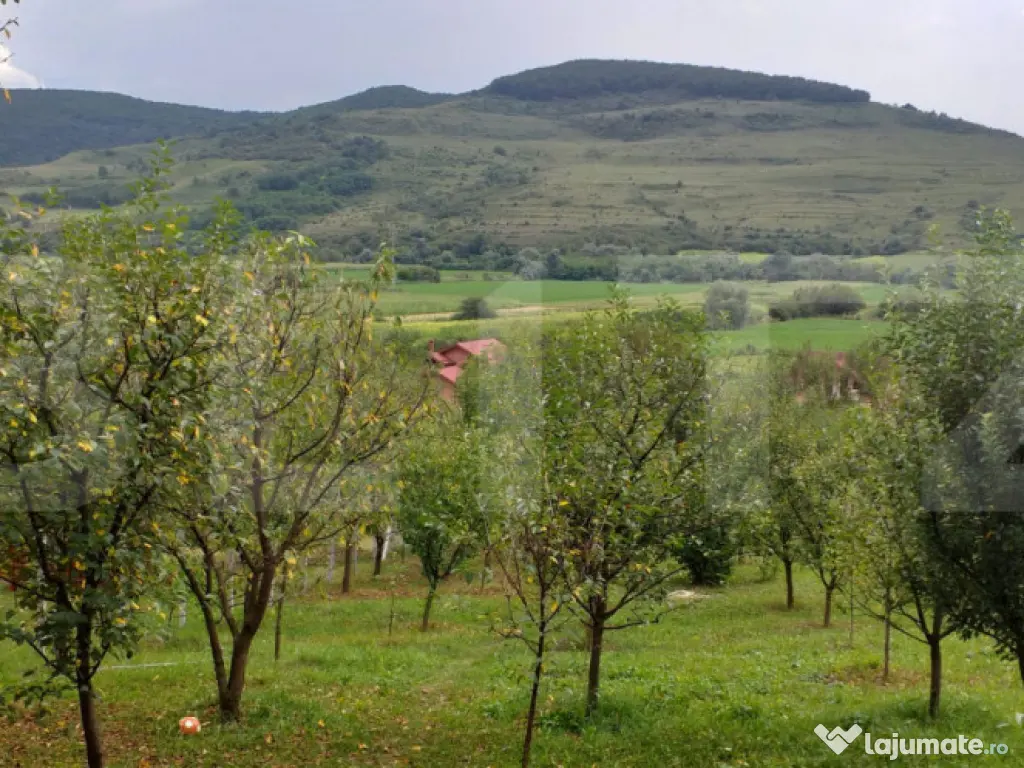 Cabana in zona Gherla, teren 1617 mp, zona linistita – rel