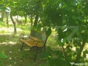 Cabana in zona Gherla, teren 1617 mp, zona linistita – rel 