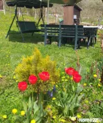 Cabana in zona Gherla, teren 1617 mp, zona linistita – rel