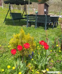Cabana in zona Gherla, teren 1617 mp, zona linistita – rel