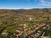 FILM! Domeniu de 6.221mp, livada pomi fructiferi casa si ane