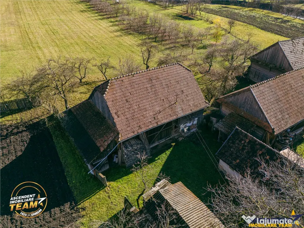 FILM! Domeniu de 6.221mp, livada pomi fructiferi casa si ane