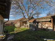 FILM! Domeniu de 6.221mp, livada pomi fructiferi casa si ane 