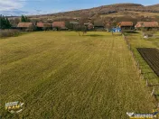 FILM! Domeniu de 6.221mp, livada pomi fructiferi casa si ane 