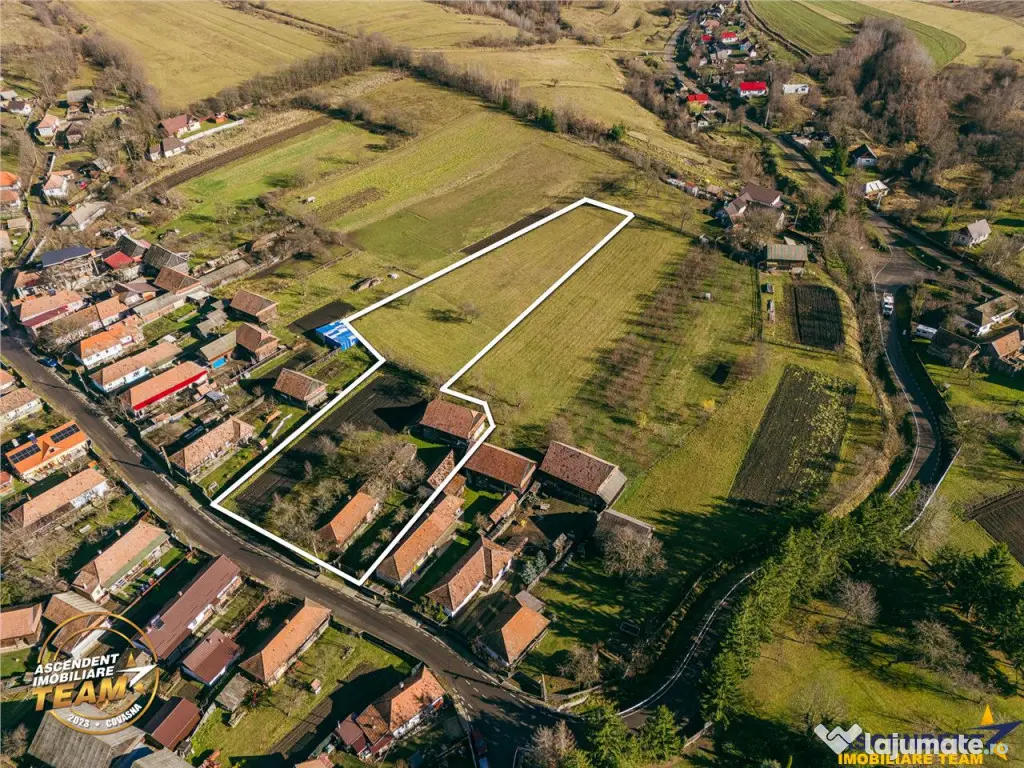 FILM! Domeniu de 6.221mp, livada pomi fructiferi casa si ane