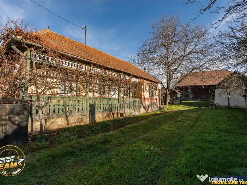 FILM! Domeniu de 6.221mp, livada pomi fructiferi casa si ane