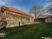 FILM! Domeniu de 6.221mp, livada pomi fructiferi casa si ane 