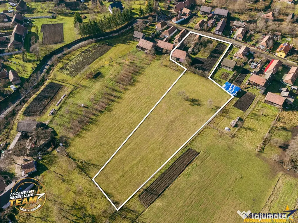 FILM! Domeniu de 6.221mp, livada pomi fructiferi casa si ane