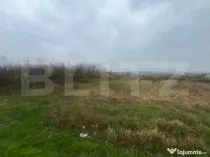 Teren intravilan, 4650mp, stradal DE, Sere Isalnita