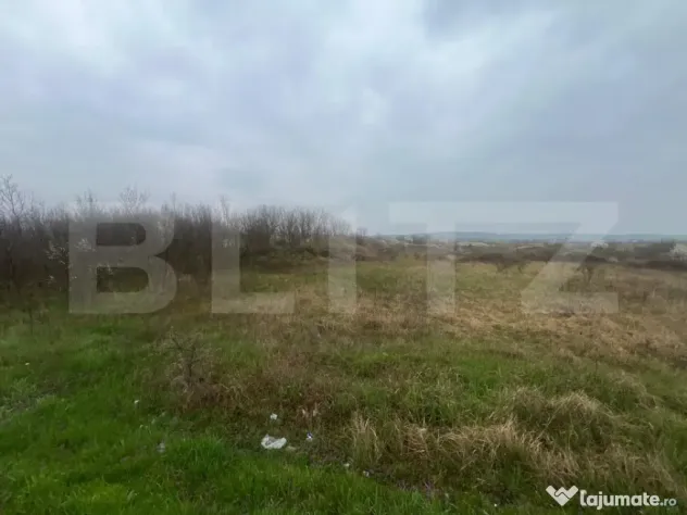 Teren intravilan, 4650mp, stradal DE, Sere Isalnita