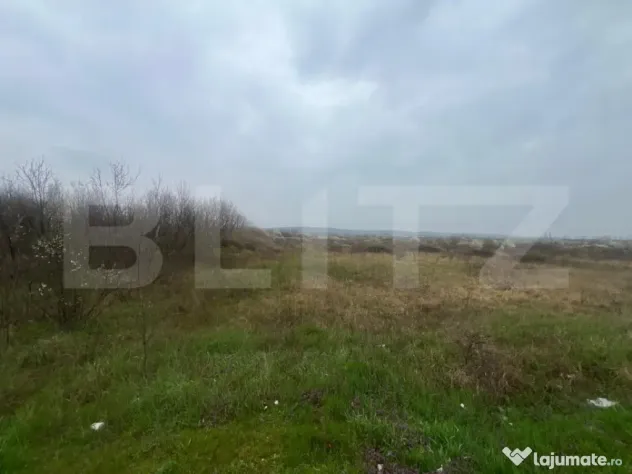 Teren intravilan, 4650mp, stradal DE, Sere Isalnita