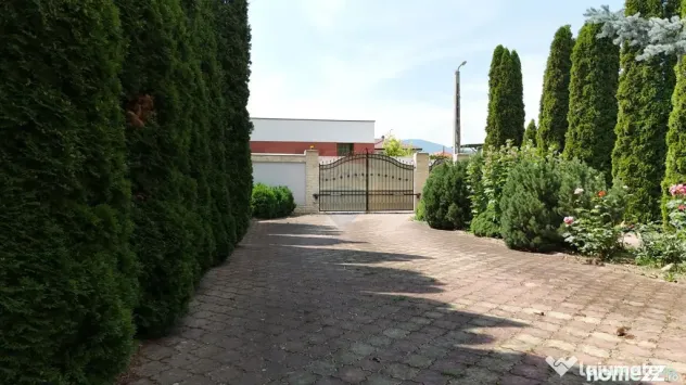 VILĂ CU IAZ ȘI 2.418 MP TEREN | GHIMBAV – LIVADA | CO... - Ghimbav (Brasov)