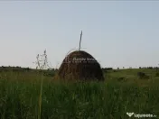 Casa de in Uileacul de Beius – gospodarie traditionala,... 