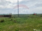 Teren intravilan in Sebis 5000 mp / Strada Ciutariei 