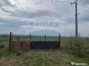 Teren intravilan in Sebis 5000 mp / Strada Ciutariei 