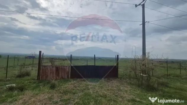 Teren intravilan in Sebis 5000 mp / Strada Ciutariei