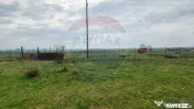 Teren intravilan in Sebis 5000 mp / Strada Ciutariei 