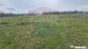 Teren intravilan in Sebis 5000 mp / Strada Ciutariei 