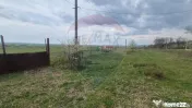 Teren intravilan in Sebis 5000 mp / Strada Ciutariei 