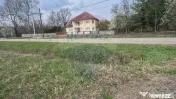 Teren intravilan in Sebis 5000 mp / Strada Ciutariei 