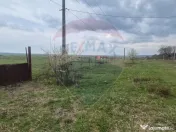 Teren intravilan in Sebis 5000 mp / Strada Ciutariei 