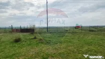 Teren intravilan in Sebis 5000 mp / Strada Ciutariei