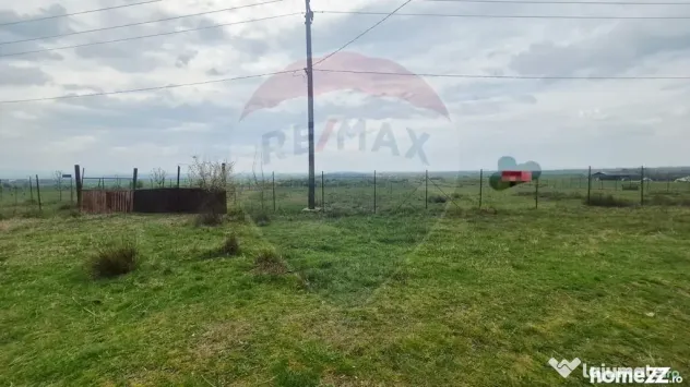 Teren intravilan in Sebis 5000 mp / Strada Ciutariei