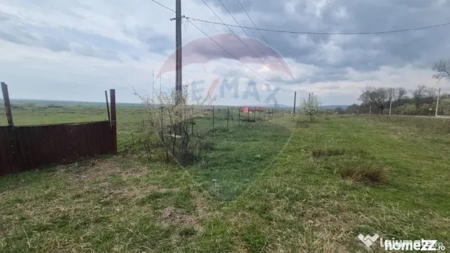 Teren intravilan in Sebis 5000 mp / Strada Ciutariei