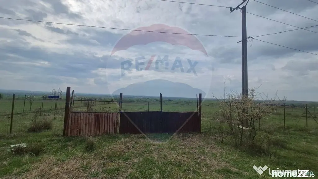 Teren intravilan in Sebis 5000 mp / Strada Ciutariei