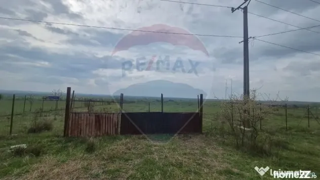 Teren intravilan in Sebis 5000 mp / Strada Ciutariei