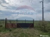 Teren intravilan in Sebis 5000 mp / Strada Ciutariei 