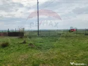 Teren intravilan in Sebis 5000 mp / Strada Ciutariei 