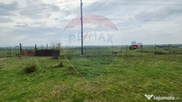 Teren intravilan in Sebis 5000 mp / Strada Ciutariei