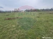 Teren intravilan in Sebis 5000 mp / Strada Ciutariei 