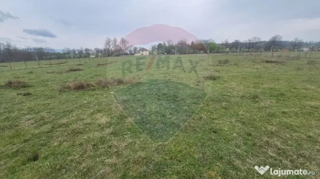 Teren intravilan in Sebis 5000 mp / Strada Ciutariei