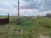 Teren intravilan in Sebis 5000 mp / Strada Ciutariei 