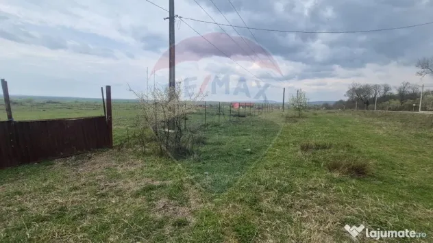 Teren intravilan in Sebis 5000 mp / Strada Ciutariei