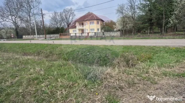 Teren intravilan in Sebis 5000 mp / Strada Ciutariei