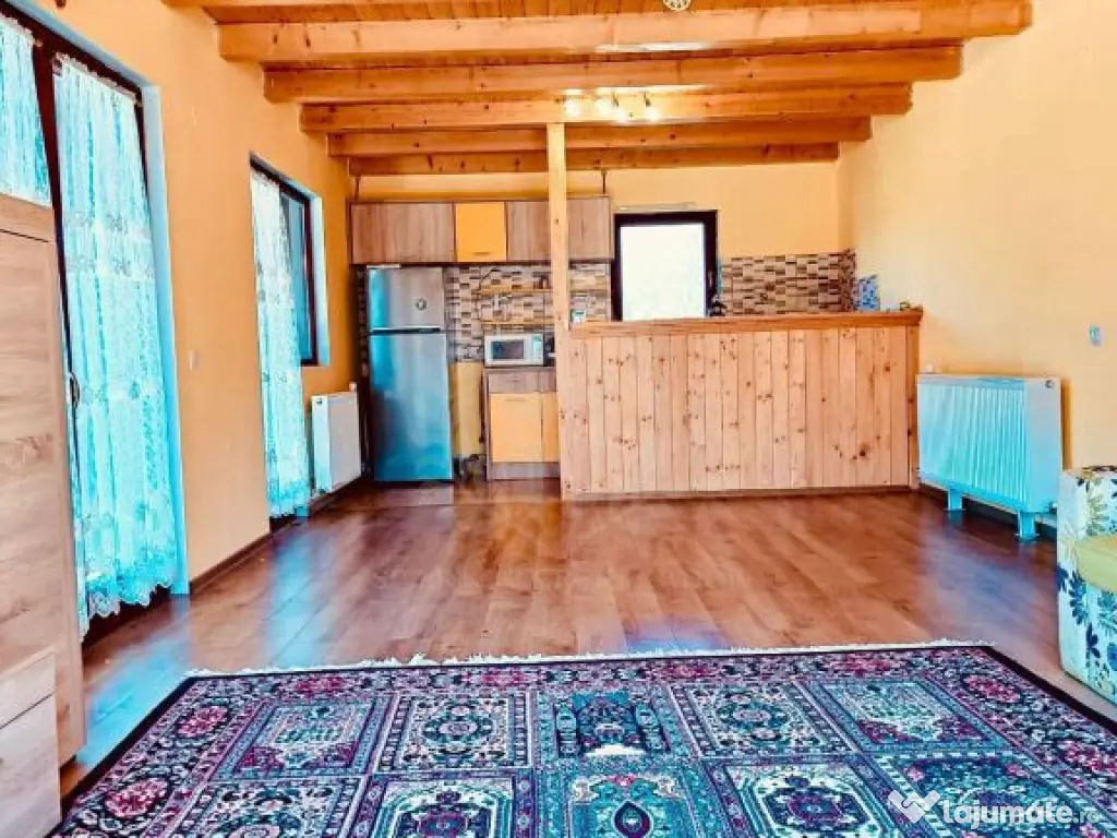 CASA DE VACANTA//ZONA BREAZA//OCINA DE JOS